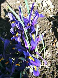 Felley Priory 6-3-12